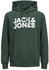 Jack & Jones Corp Logo Noos Sweatshirt (12152840) grün