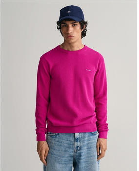 GANT Sweater (8040521) orange/rosa