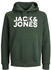 Jack & Jones Corp Logo Hoodie (12152840) grün