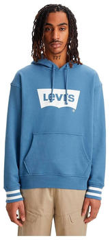 Levi's T2 Relaxed Graphic Hoodie (38479-0121) blue