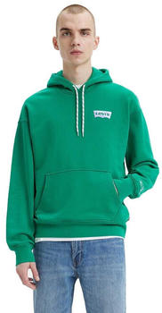 Levi's T2 Relaxed Graphic Hoodie (38479-0228) green
