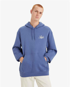 Levi's Relaxed Graphic Hoodie (38479-0296) blue