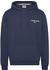 Tommy Hilfiger Reg Entry Graphic Hoodie (DM0DM17781)