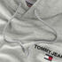 Tommy Hilfiger Reg Entry Graphic Hoodie (DM0DM17781-PJ4) grey