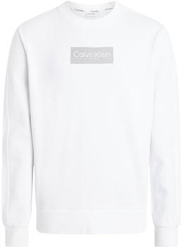 Calvin Klein Raised Rubber Logo Sweatshirt (K10K112252-YAF) white