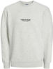 Jack & Jones Sweatshirt »JORVESTERBRO SWEAT CREW NECK NOOS«