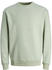 Jack & Jones JJEBRADLEY SWEAT CREW NOOS (12249341)