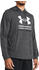 Under Armour Rival Terry Graphic Hood (1386047) grey