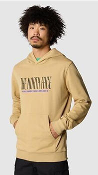 The North Face TNF Est 1966 Kapuzenpulli für Herren (87E5) khaki stone