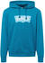 Levi's Standard Graphic Hoodie (38424)