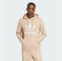 Adidas Men Originals Adicolor Classics Trefoil Hoodie