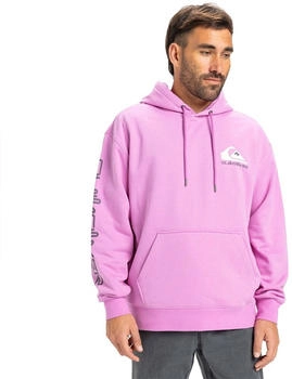 Quiksilver Omni Logo Kapuzenpullover EQYFT05054-PHP0