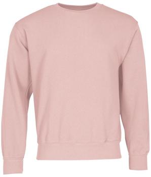 Fruit of the Loom Set- Sweat powder rose