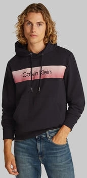 Calvin Klein linear ombre chest logo hoodie