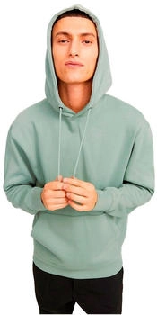 Jack & Jones Star Basic Kapuzenpullover 12208157 eisgrün