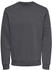 Only & Sons Onsceres Life Crew Neck Noos (22018683)
