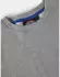 Dickies Okemo Graphic Sweatshirt grau