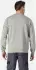 Dickies Okemo Graphic Sweatshirt grau