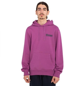 Element Sunup Kapuzenpullover ELYSF00212-PNJ0