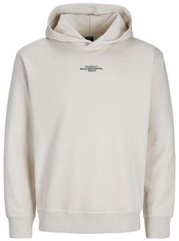 Jack & Jones JCOALPHA Sweatshirt Hoodie loose fit moonbeam