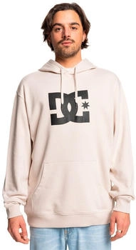 DC Shoes Star Kapuzenpullover ADYSF03099-SEZ0
