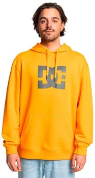 DC Shoes Star Kapuzenpullover ADYSF03099-NJZ0