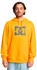 DC Shoes Star Kapuzenpullover ADYSF03099-NJZ0
