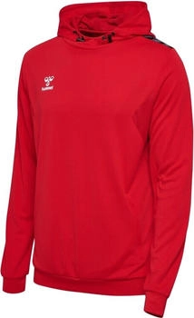 Hummel Hmlauthentic Pl Hoodie