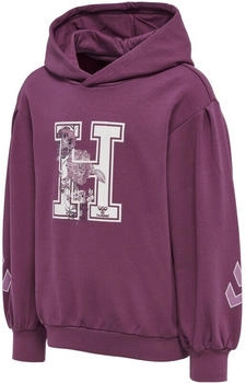 Hummel hmlASTROLOGY Hoodie amaranth 4758