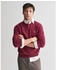 GANT Classic Sweater (8030561)