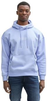 Tom Tailor Denim Denim Sweatshirt 1045580 brunnera blau
