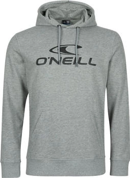 O'Neill Logo Hoodie silber melee 18013