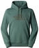 The North Face Drew Peak Light P/O Hoodie