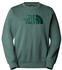 The North Face Drew Peak Crew Sweatshirt (NF0A89EK)