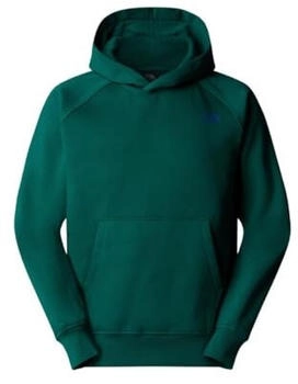 The North Face Raglan Box Nse Hoodie gruen