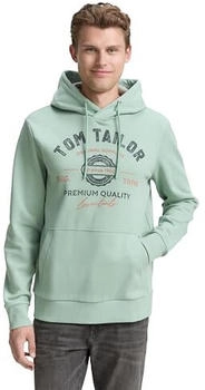 Tom Tailor Kapuzensweatshirt grün dust green