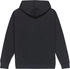Quiksilver Salt Water Hoodie schwarz