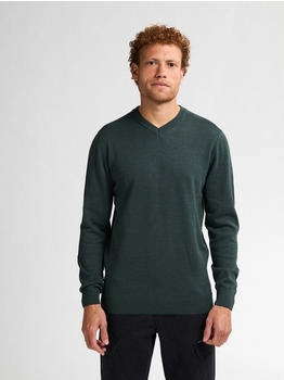 Petrol Industries V-Neck Basi Materialmix grün bottle