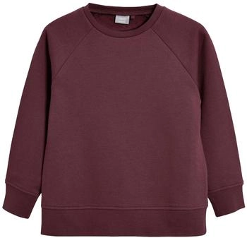 Next Fashion Sweatshirt burgund 21917621