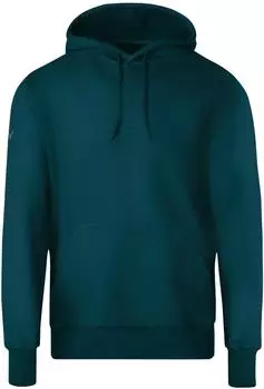 Trigema Hoodie in Sweatqualität (6759051) saphir