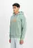 Alpha Industries Basic Reflective Print Hoodie (178312RP) mint/orange