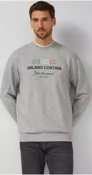 s.Oliver Weiches Sweatshirt mit Artwork im Relaxed Fit Wintersport-Kollektion grau 2177094.94D2.