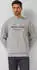 s.Oliver Weiches Sweatshirt mit Artwork im Relaxed Fit Wintersport-Kollektion grau 2177094.94D2.