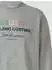 s.Oliver Weiches Sweatshirt mit Artwork im Relaxed Fit Wintersport-Kollektion grau 2177094.94D2.