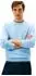 Tommy Hilfiger Flag Embroidery Crew Neck Jumper (MW0MW39999)
