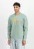 Alpha Industries Basic Sweater (178302) frost green