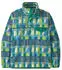 Patagonia Men's Synchilla Snap-T Fleece Pullover - European Fit (25551)