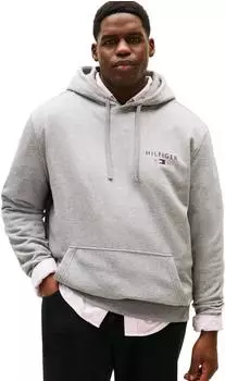 Tommy Hilfiger Reg Entry Graphic Hoodie (DM0DM17781) medium grey heather