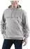 Carhartt Signature Logo Midweight Sweatshirt (100074)