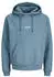Jack & Jones JORVESTERBRO SWEAT HOOD NOOS (12241687)